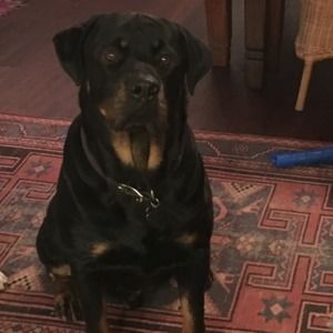 Meet your Posher, Anita